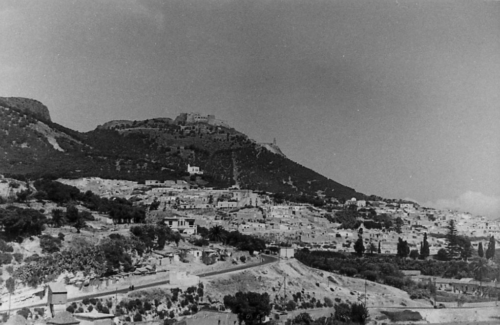 ORAN 02421.jpg